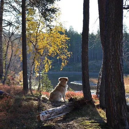 卡斯蒂略别墅 公寓 萨利色尔卡