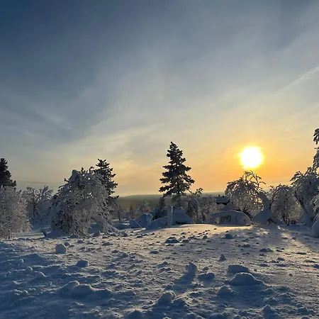 卡斯蒂略别墅 公寓 萨利色尔卡