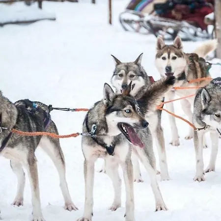 卡斯蒂略别墅 萨利色尔卡