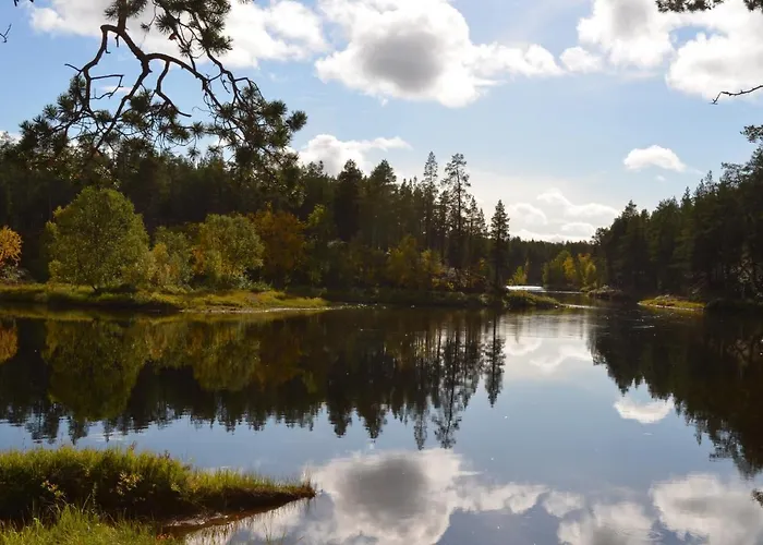 Castillo * 사리셀카