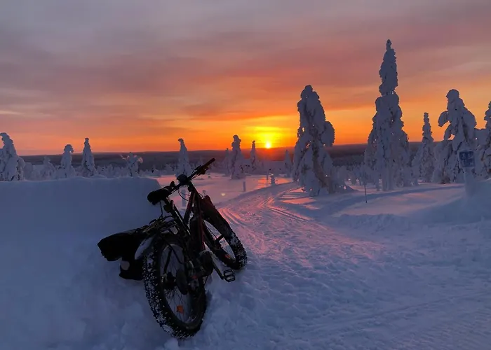 아파트 Castillo 사리셀카