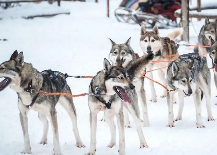 Castillo 사리셀카
