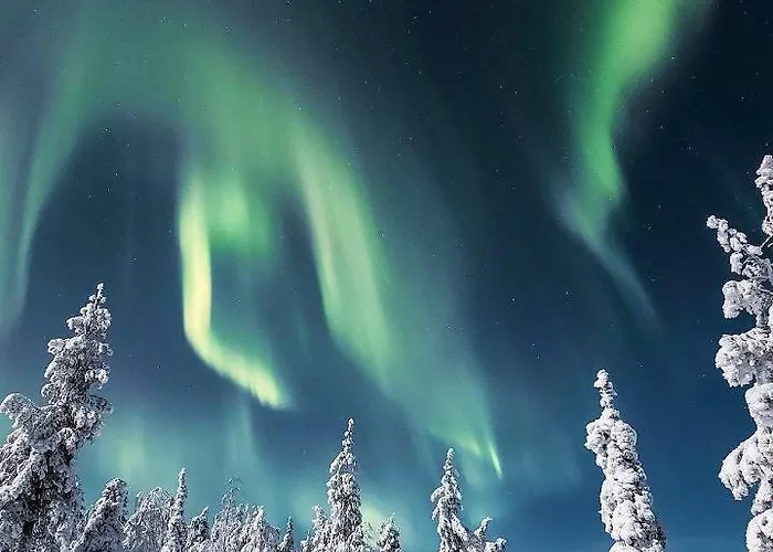 Castillo 사리셀카